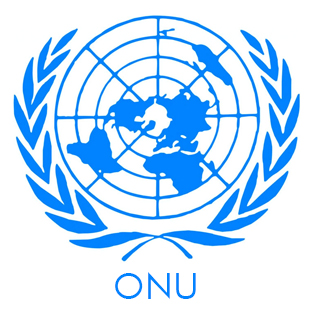 Convenzione ONU - Organizzazione delle Nazioni Unite